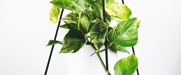 世界杯主办城市卢赛尔体育场航拍夜景