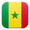 塞内加尔国旗小图标